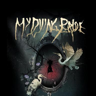 MB