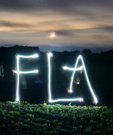 FA