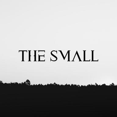 TS