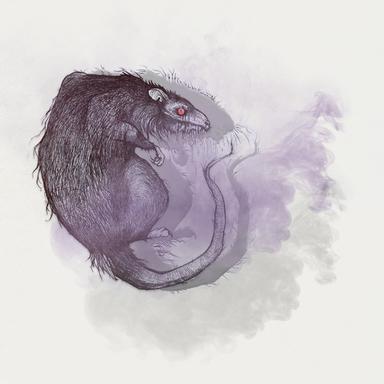 SR