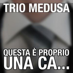 TM