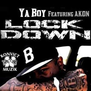 YB