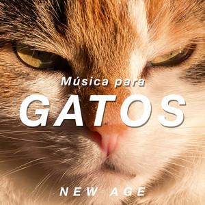 MM