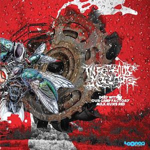 IM