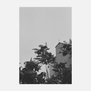 IP