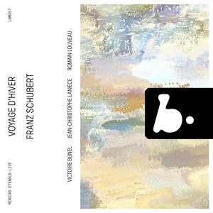 VB