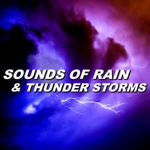 Rainstorm Sounds