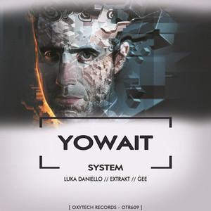 Y