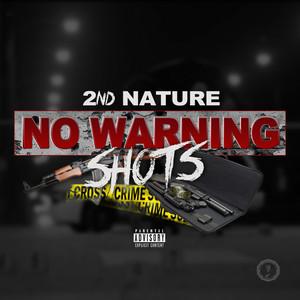 2N