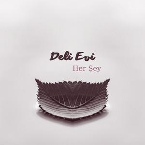 DE