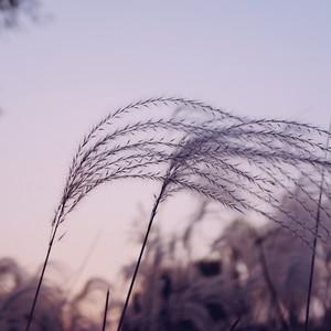Music for Stress Relief