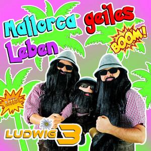 L3