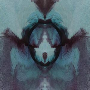 DN