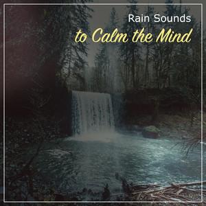 Zen Rain