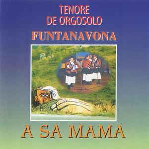 TF