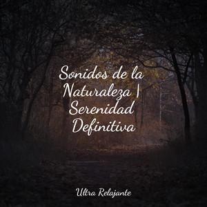 Sonidos De Primavera