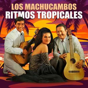 LM