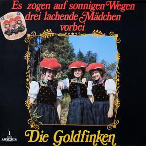 DG