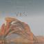 The Revealing Songs of Yes