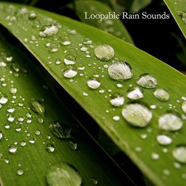 Calm Sleep Rain