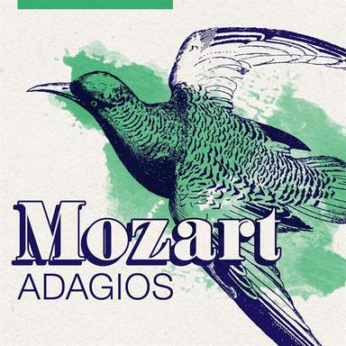 Piano Concerto No. 5 in D Major, K. 175: II. Andante ma un poco adagio