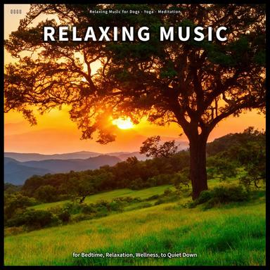 Splendid Background Soundscapes