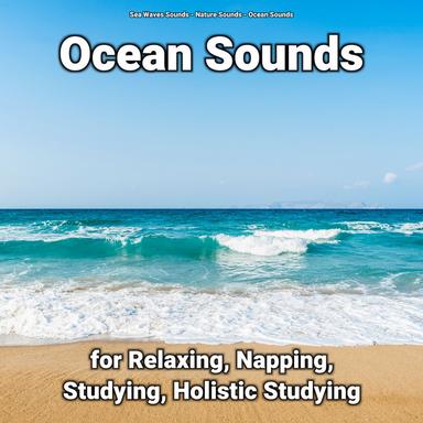 Ocean Beach for Mindfulness