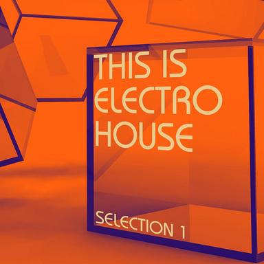 Girls Don't Like Electronic Music - Callea Back to Sexy Acid Mix