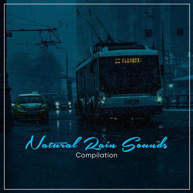 Rain to Fall Asleep To