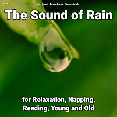 Rain Sounds for Dinner