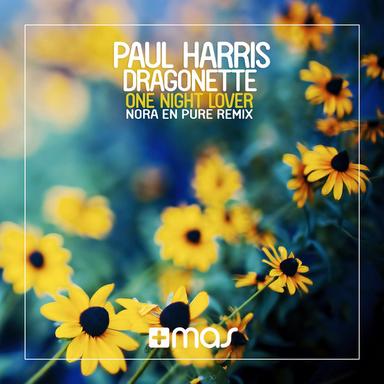 One Night Lover - Nora En Pure Remix