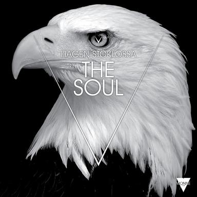 The Soul - ANIÈ Remix