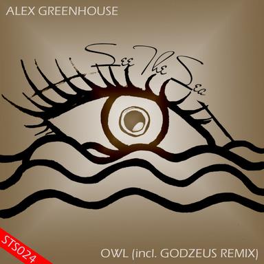 Owl - Original Mix