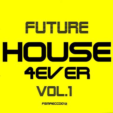 One Night - Baramuda Housepital Remix