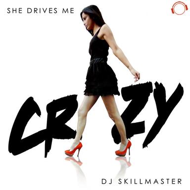 She Drives Me Crazy - Topmodelz Remix Edit