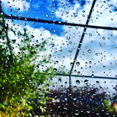 Rain Drop Splash