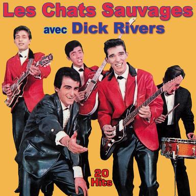 Est-ce que tu le sais (What'd I say)