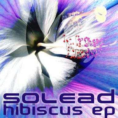 Hibiscus - Fiord remix