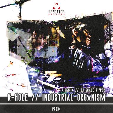 Industrial Machinery - DJ Scale Ripper Remix