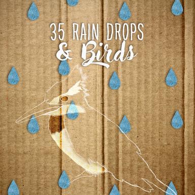 Rain Barrel