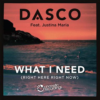What I Need (Right Here, Right Now) - Rob Roar's White Isle Radio Edit