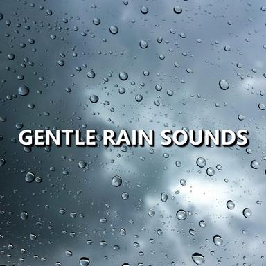 Chill Meditation Rain Sounds