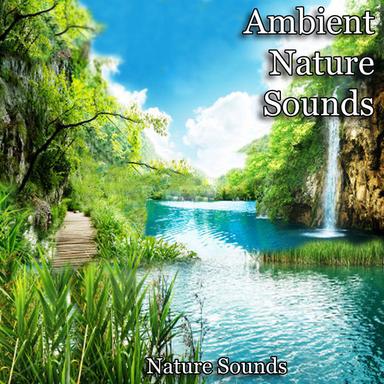 Soothing Windchimes in a Summer Breeze