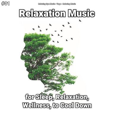 Unwinding Soft Music