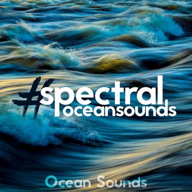 Ocean Tranquility