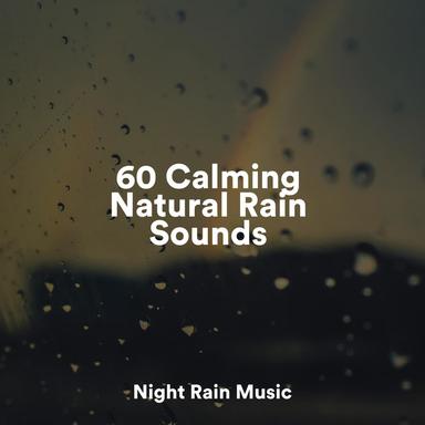 River Birds