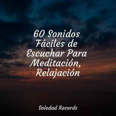Sensaciones Sinfónicas