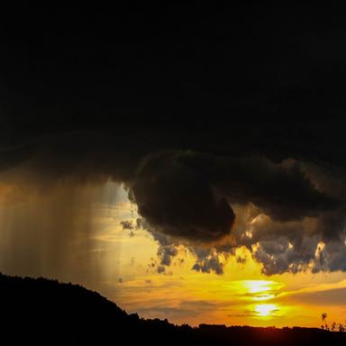 Rainforest Heavy Shower