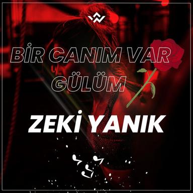 ZK