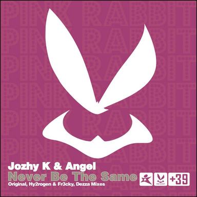 Never Be the Same - Hy2rogen & Fr3cky Remix